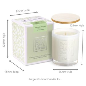 Byron_Christmas_50_hour_candle_measurements[1]